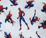 Spider-Man / 0.25 ud