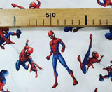 Spider-Man / 0.25 ud