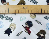 Harry Potter / 0.25 ud